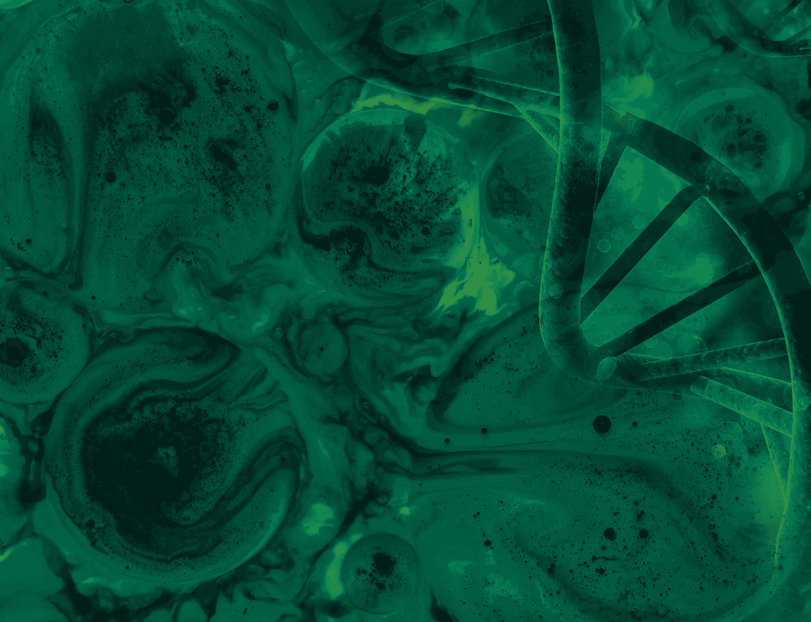 Background - Quest Green