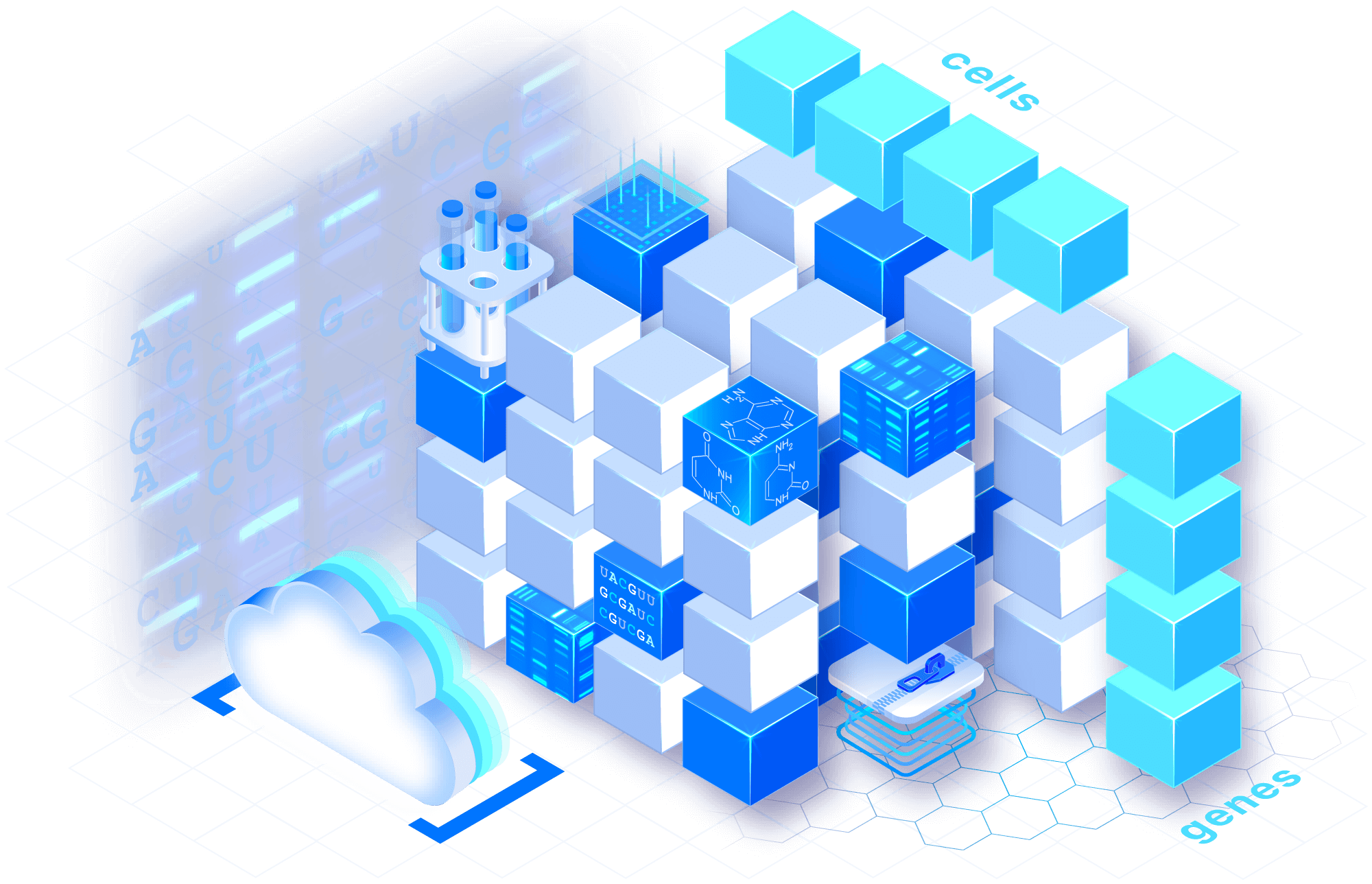 Model as analysis-ready arrays icon